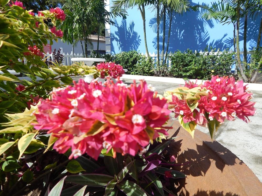 קראון פוינט Chic - The Boutique Hotel And Conference Centre מראה חיצוני תמונה